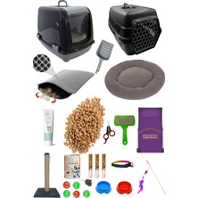 UltraMint 25 Parça Kedi Eğlence ve Eğitim Seti, Keyifli Anlar Için Ideal