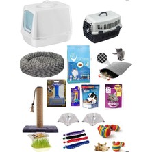 UltraMint Sevimli Kedi Başlangıç Seti 15 Parça, Eğlence ve Bakım Için Ideal