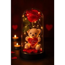 Marsilyan LED Işıklı Mika Fanus İçinde Gül ve Lüx Peluş Ayıcık – 20 cm Sevgiliye Hediye