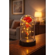 Home Dekor Hediye Sevgiliye Özel Günlere Dekoratif Hediye Fanus Içinde Solmayan LED Işıklı Hologram Sonsuz Gül kırmızı