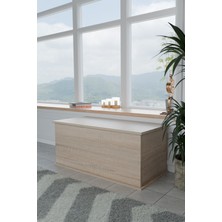 UltraMint Şık ve Kullanışlı Kapalı Kedi Tuvaleti, Antre Mobilyası, Pratik Tasarım