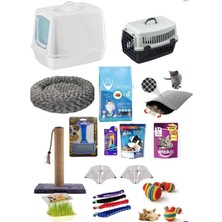 UltraMint Sevimli Kedi Başlangıç Seti 14 Parça, Eğlence ve Bakım Için Ideal