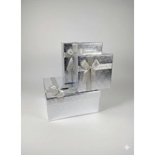 abnturk Unutulmaz Anlar Için: Gümüş Renk Büyük Boy Özel Gün Kutusu 26X26X12 cm Lüks Gümüş  Kutusu