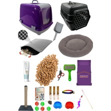 UltraMint Eğlenceli ve Renkli 25 Parça Kedi Başlangıç Seti, Keyifli Oyunlar Için!