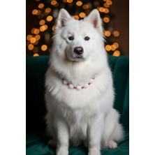 Stoneage Blueberry Collar Tasma Necklace