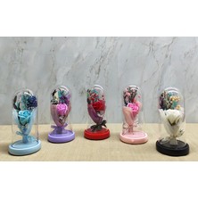 Bsre Cam Fanus Içinde Lavantalı Romantik Gül  (Işıklı Müzikli) 1 Adet