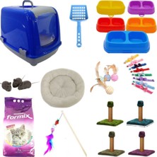 UltraMint Mavi Eko Kedi Başlangıç Seti - 10 Parça, Sağlıklı ve Eğlenceli