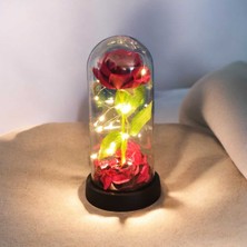 UltraMint Ledli Sonsuzluk Gül Fanusu ile Sevgililer Günü ve Doğum Günü Hediye