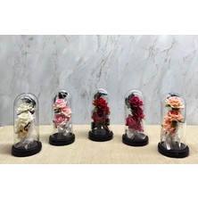 Bsre Cam Fanus Içinde Romantik Gül  (Işıklı Müzikli) 1 Adet