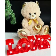 UltraMint Sevgililer Günü Lüks Peluş Ayıcık ve Gece Masa Lambası Hediye Seti