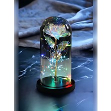 UltraMint Dekoratif Işıklı Sonsuzluk Gülü Fanusu, Sevgililer ve Anneler Günü Hediyesi