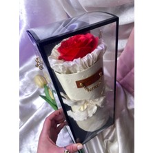 UltraMint Kırmızı Gül Seti, Zincir Duvar Askısı ve Hediye Kutusu ile Şık Dekorasyon