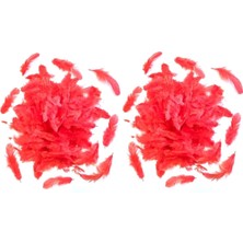 UltraMint Kırmızı Tüy 200 Lü Paket, Sevgililer Günü Hediyesi Için Şık Seçenek