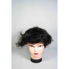 Numberonehair Apollo 8*10 1b