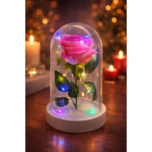 UltraMint LED Işıklı Fanus Pembe Gül, Romantik Hediye, Özel Gün Dekorasyonu