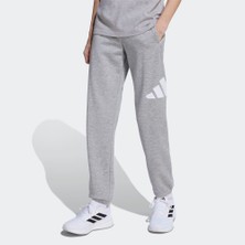 Adidas JV9915 J Bl Ft Pt 280 Çocuk Eşofman Altı
