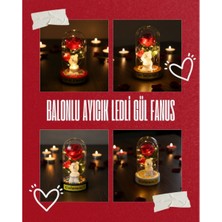 Aspartam Balonlu Ayıcık Ledli Gül Fanus