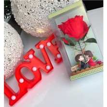 UltraMint Sevgililer Günü Dekorasyonu Love Masa Lambası Büyük Kırmızı Gül