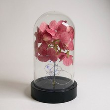 UltraMint Öğretmenler Günü Için Ledli Pembe Ortanca Fanus Hediye