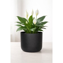 Valda Home Çap 20 Siyah Saksı