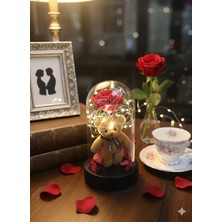 UltraMint Sevgililer Günü ve Özel Günler Için Ledli Ayıcık Hediye