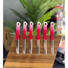 Solingen Ebruli Meyve Bıçağı 6'lı (Pembe)