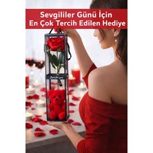 B&Nine Solmayan Kırmızı Gül ve Peluş Ayıcık Hediye Kutusu Sevgiliye Romantik Özel Tasarım Kutu