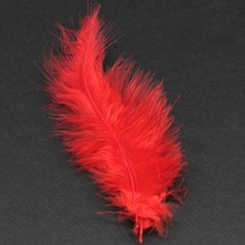 UltraMint Kırmızı 15'li Mini Tüy, Sevgililer Günü Hediyesi Için Mükemmel Seçim