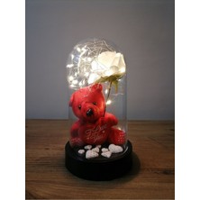 UltraMint Işıklı Gül Kalpli Ayıcık, Sevgi Dolu Hediye, Sevgililer ve Anneler Günü