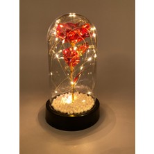 UltraMint Kırmızı Sonsuzluk Gülü ve Gün Işığı Ledli Dekoratif Fanus