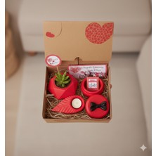 UltraMint Sevgililer Günü Özel Üçlü Canlı Çiçek, Şekerlik ve Mum Hediye Seti