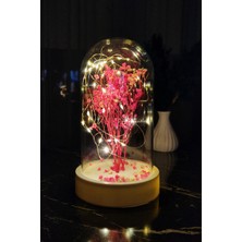 UltraMint Beyaz Tabanlı LED Işıklı Sevgililer Günü Çiçekli Fanuslu Gece Lambası