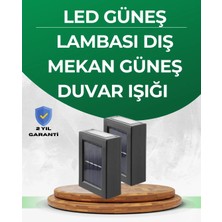Epilons Şeffaf Abajurlu Duvar Tipi Solar Işık