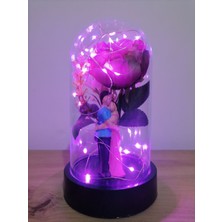 UltraMint Pembe Gül Çiçek Aşıklı Işıklı Fanus Sevgililer ve Anneler Günü Hediyesi