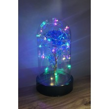 UltraMint Siyah Tabanlı LED Işıklı Sonsuzluk Gülü Fanuslu Gece Lambası