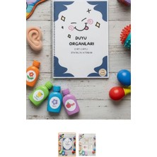 Duyu Organları Cırt Cırtlı Etkinlik Kitabı