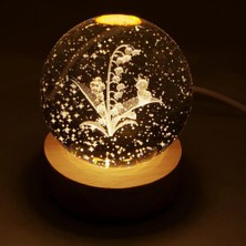 Epilons Kedi ve Çiçek Motifli Cam Küre