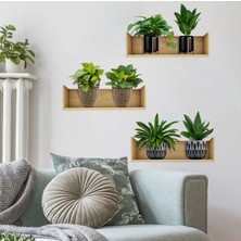 Eco Lounge Raflı Bitki Tasarımlı Yapışkanlı Sticker 20*30 cm 3lü Set MC-663