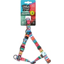 Delixa M-Pets Style Jazz Strıpes Göğüs Tasması (S)