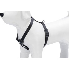 Delixa Göğüs Tasma M 45-70CM Siyah