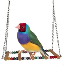 Delixa Muhabbet Kuşu Köprülü Salıncak 14X7 cm