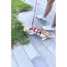 Full Body Kedi Harness, Kedi Gezdirme Tasması, Kedi Sokak Tasması - NPC011