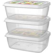 Delixa Titiz Aria Saklama Kabı 1200 ml 3'lü Se