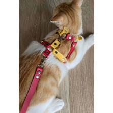 Deri Kedi Gezdirme Tasması, Deri Kedi Göğüs Tasması - NPC013