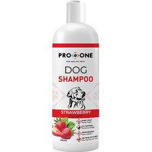 Delixa Pro One Köpekler Için Çilek Bitki Özü Şampuan 400 ml
