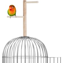 Delixa X-Perk Ağaç Sopalı Kuş Tüneği Kuş Parkuru Tünek Boy 23 cm