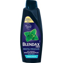 Delixa Blendax Erkekler Için Mentol Ferahlığı Nane Özlü Şampuan, 500 ml