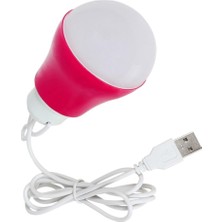 Delixa Gaman USB Kablolu 1 Metre 6-5 Volt Dat At Ampulü - Güneş Enerjili Solar Sistem Uyumlu Ampül