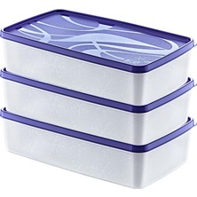 Delixa Hobby Life Alaska 3’lü 2 Litre Saklama Kabı Seti – Hızlı Dondurma Için Uygun, Sızdırmaz Kapak ve -20