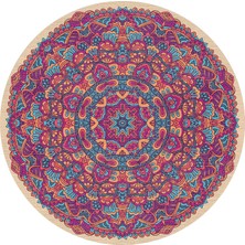 Delixa Fabon Kadife Kaymaz Pamuk Tabanlı Yıkanabilir Antibakteriyel Yuvarlak Salon Halısı 120X120